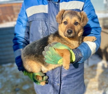 Алиска 5 месяцев