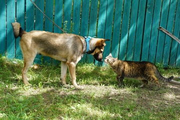 Юхо 7 месяцев