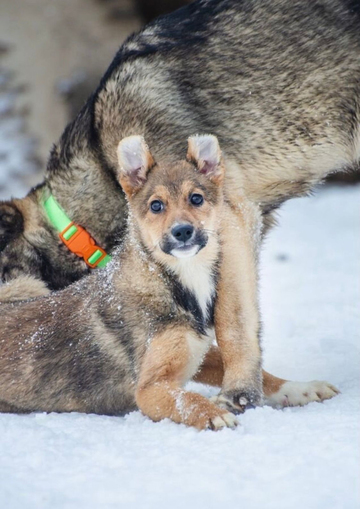 Лилу 8 месяцев