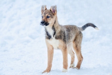 Лилу 8 месяцев