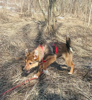 Лилу 8 месяцев